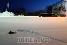 выкса.рф, Утка в сугробе